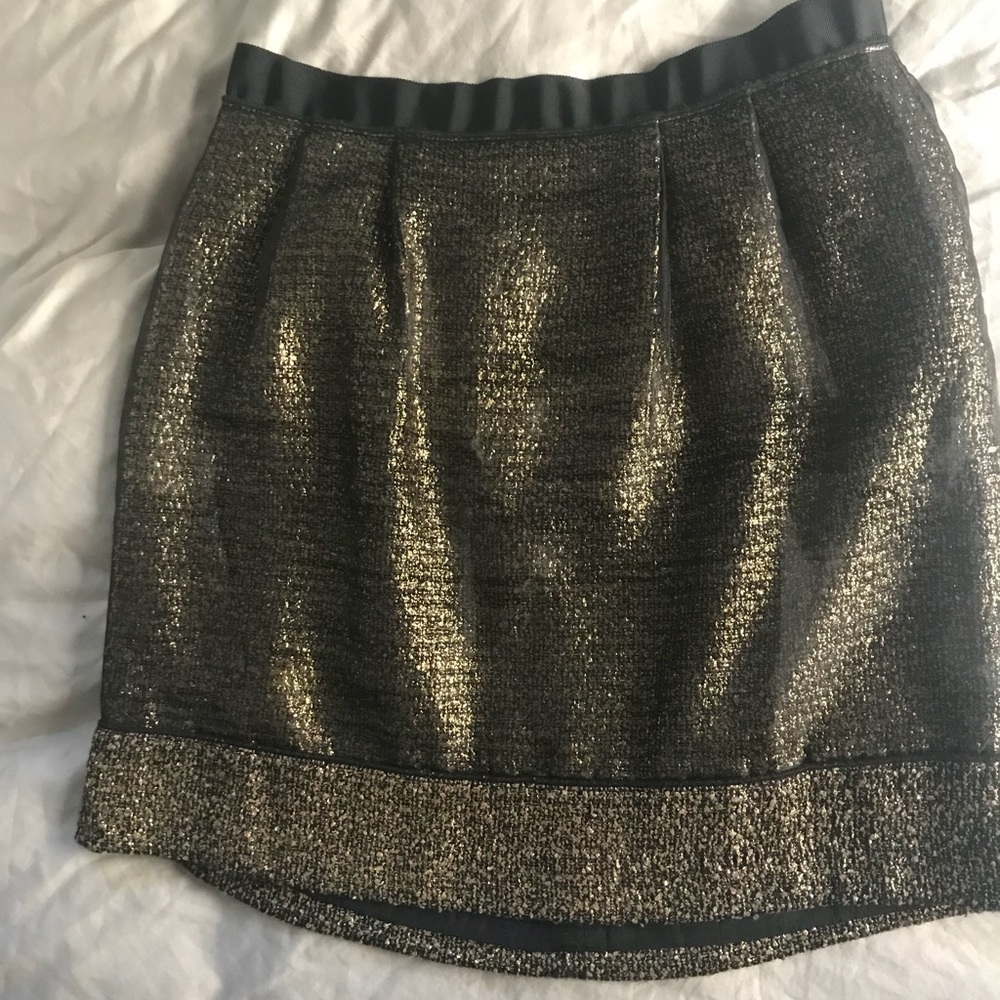Ann Taylor Loft Skirt